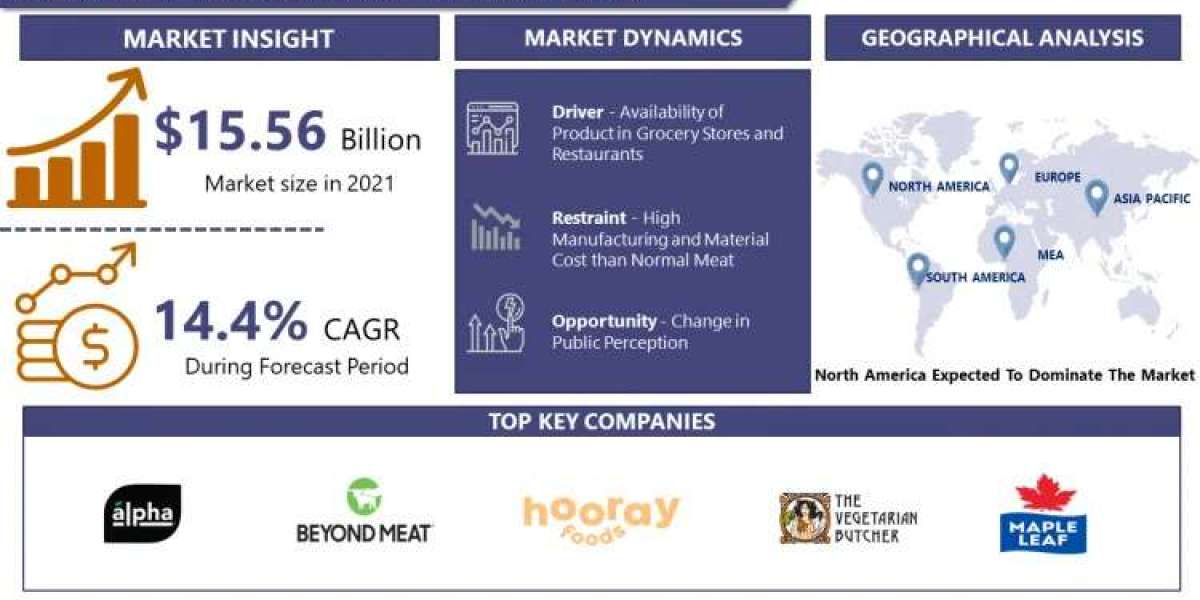 Plant-Based Meat Market 2030 Report: Tracking Trends and Growth Status