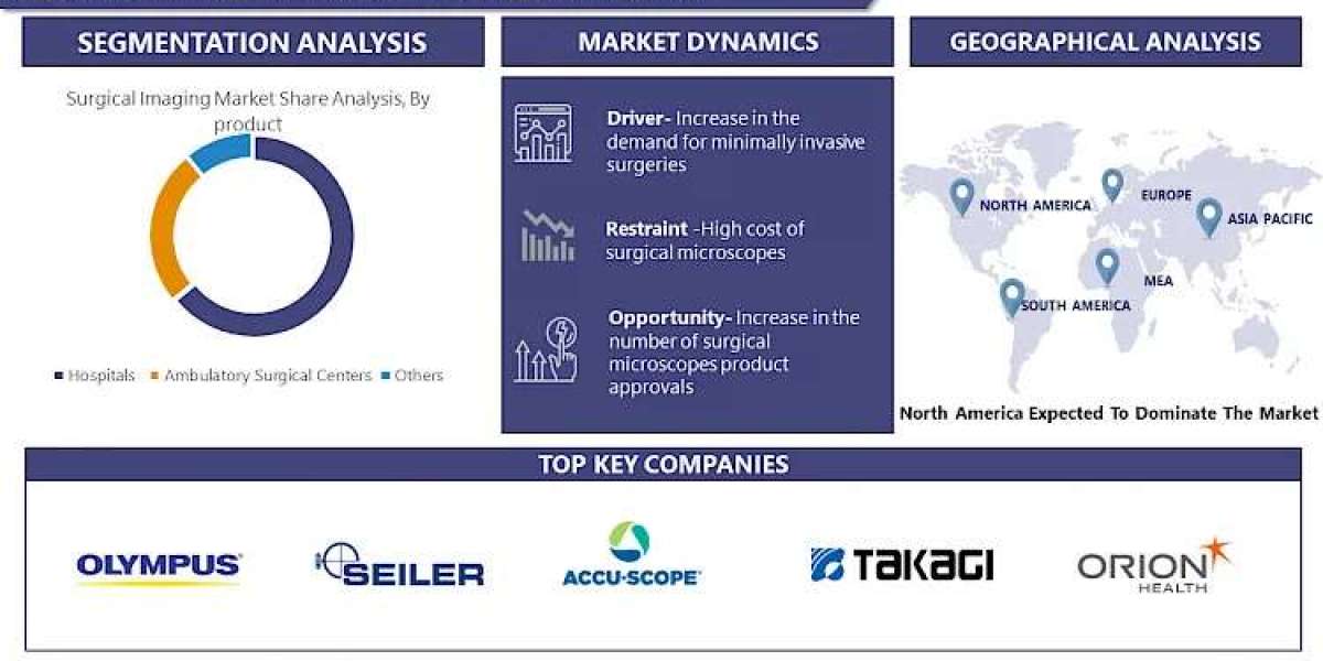 Surgical Imaging Market Exploring 2030: Market Size, Share, and Growth