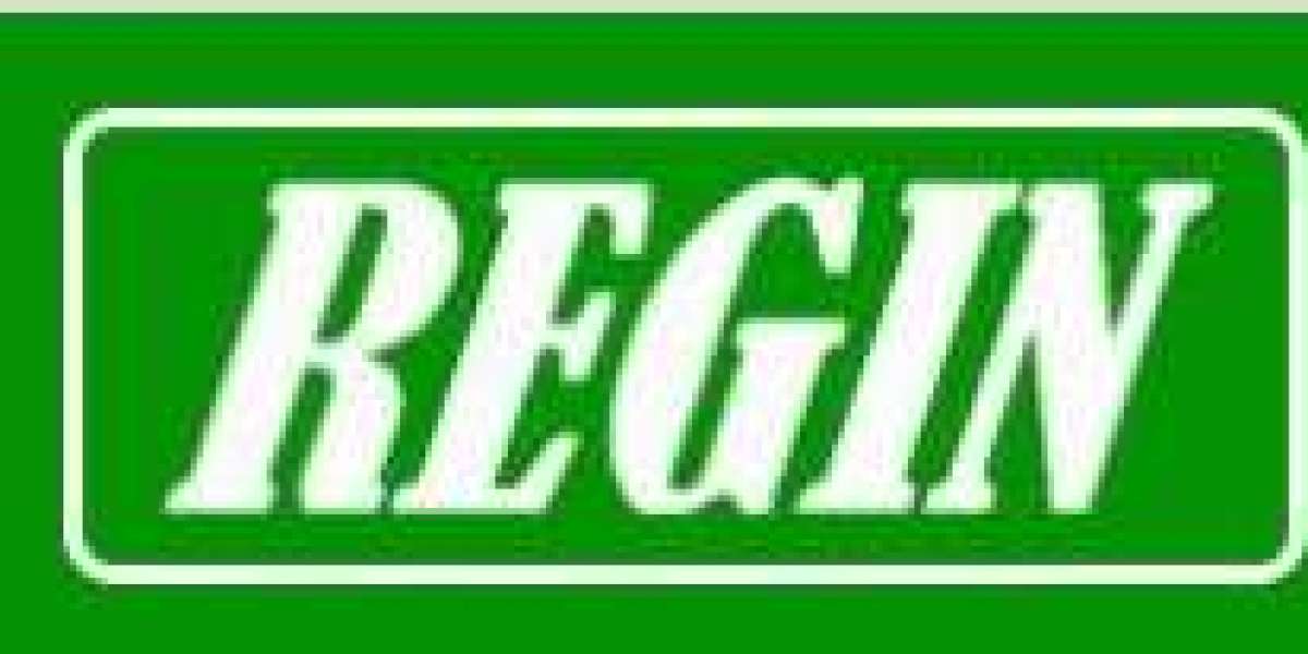 Regin Smoke Cartridges: Revolutionizing Fire Safety with Cutting-Edge Technology