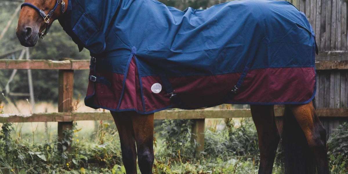 Winter Horse Care Essentials: Why No Fill Turnout Rugs Are a Must-Have