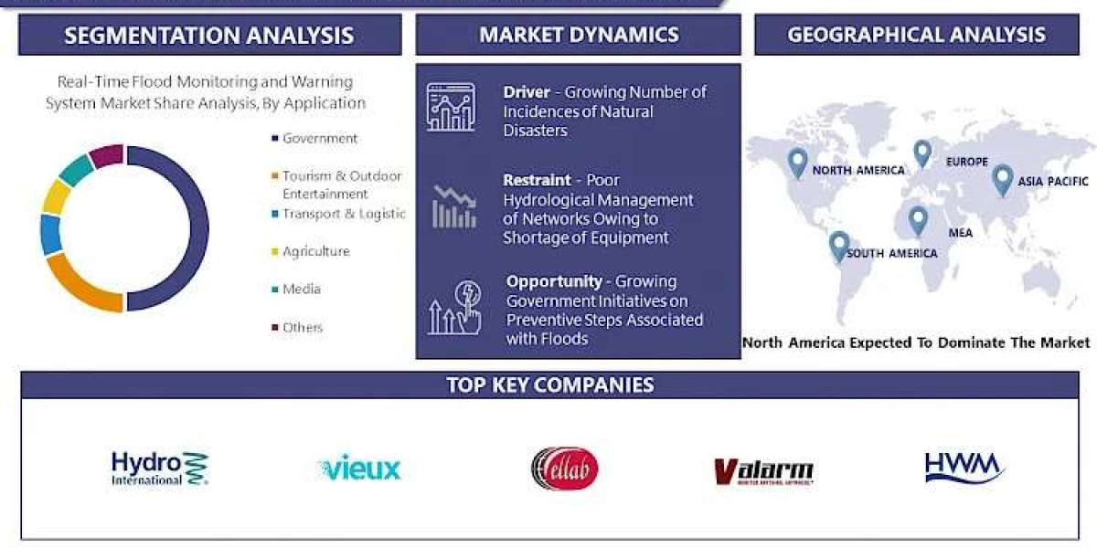 Real-Time Flood Monitoring And Warning System Market Navigate 2030 with Market Insights and Projections