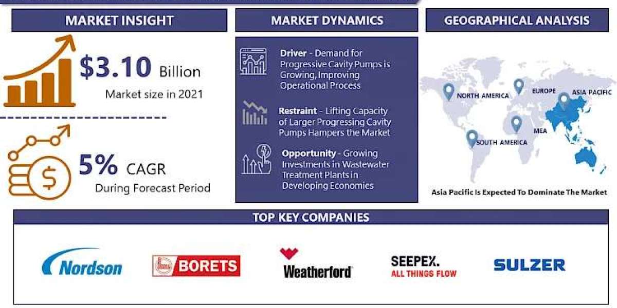 Progressive Cavity Pump (PCP) Market Report: Tracking Trends and Growth Status