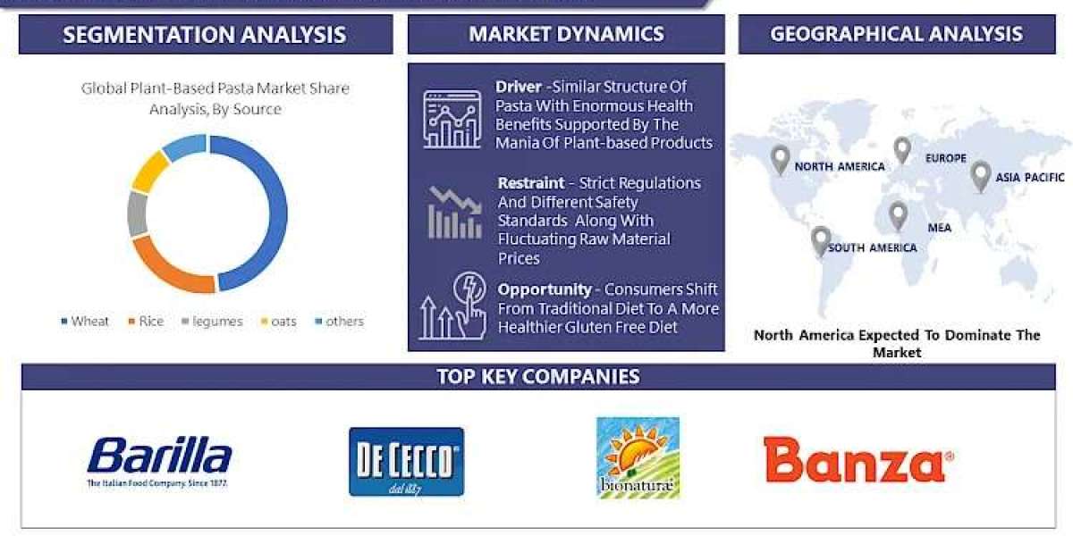 Plant-Based Pasta Market Size, Share, and Growth: 2030 Market Projections