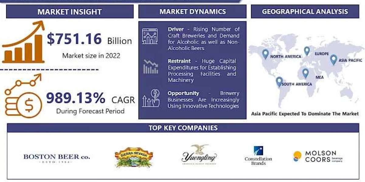 Beer Processing Market Projections for 2030: Size, Share, and Growth