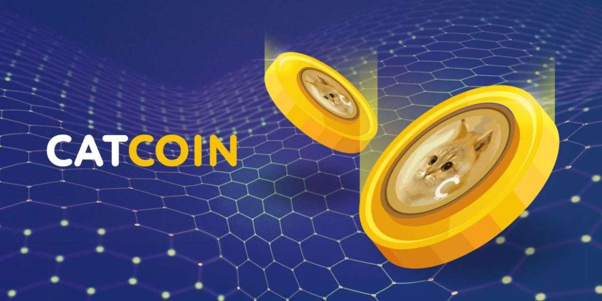 The Complete Guide to Investing in CatCoin