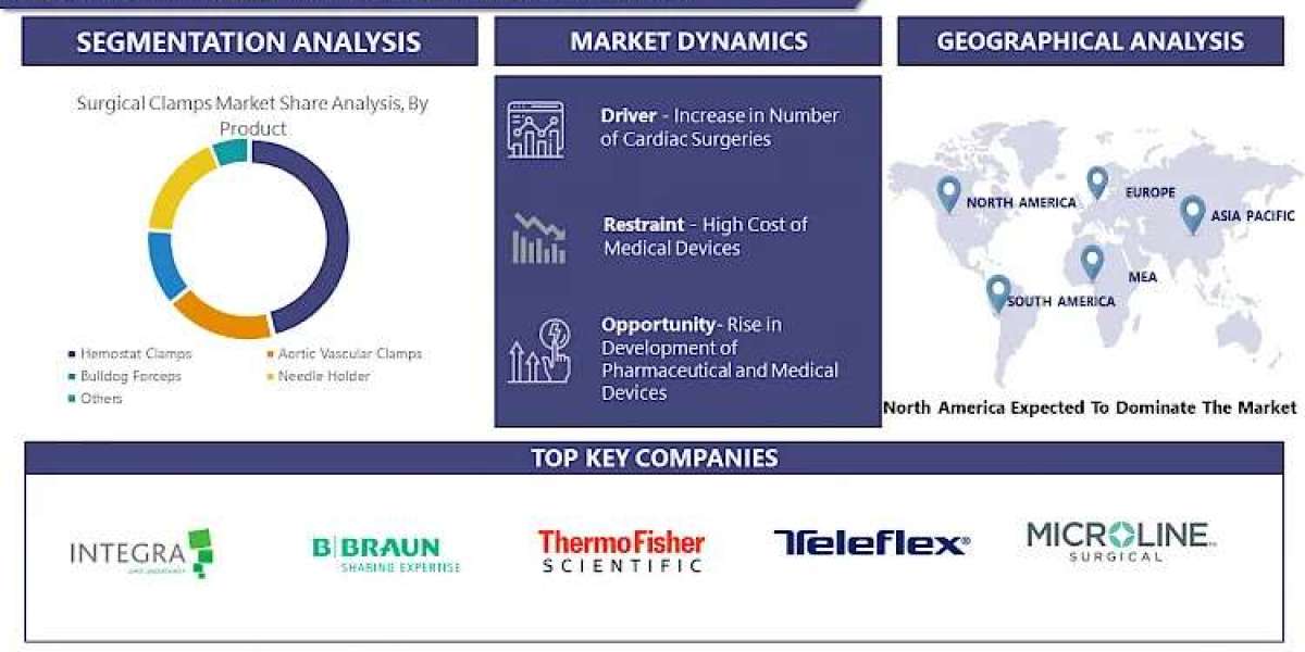 Surgical Clamps Market Unlocking Trends: Size, Share, and Growth by 2030