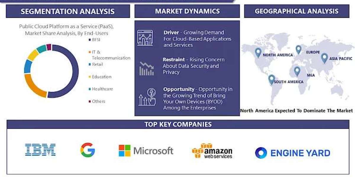 Public Cloud Platform as a Service (PaaS) Market 2030 Report: Tracking Trends and Growth Status