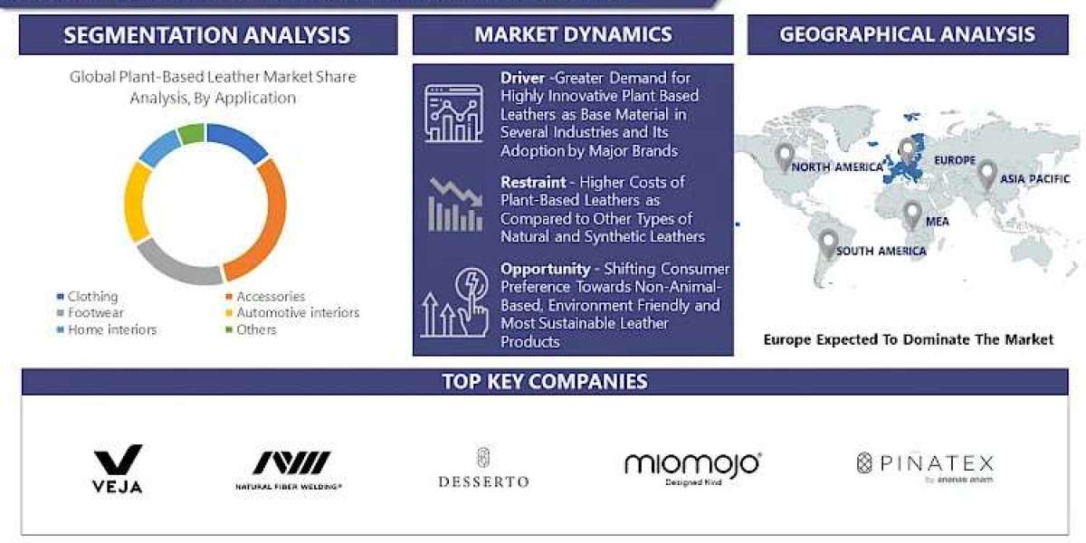 Plant Based Leather Market Forecasting 2030: Market Trends and Growth Status