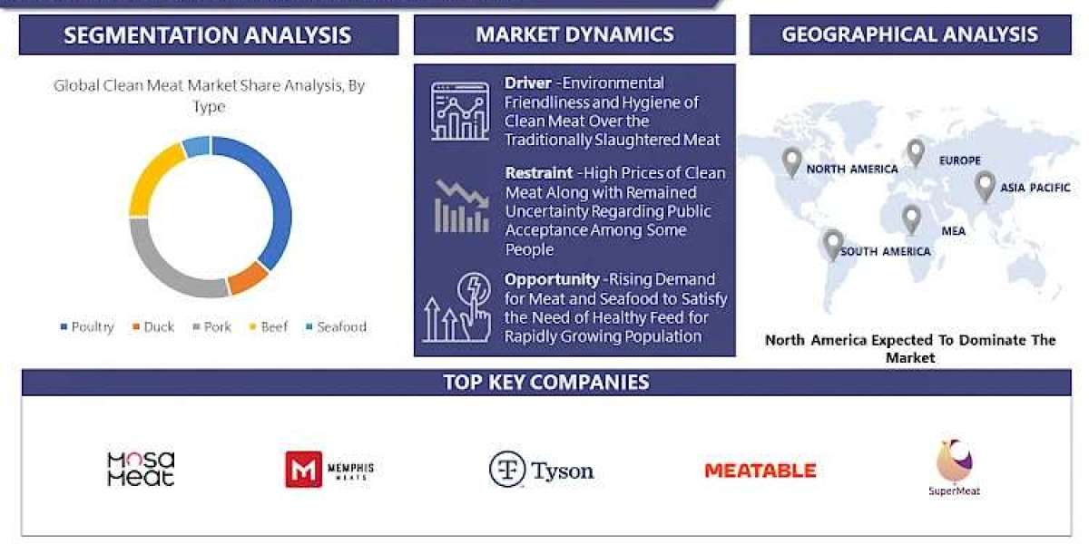 Clean Meat Market Stay Ahead with 2030 Market Insights and Trends