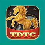 TDTC EVENTS THIÊN ĐƯỜNG CHÒ CHƠI Profile Picture