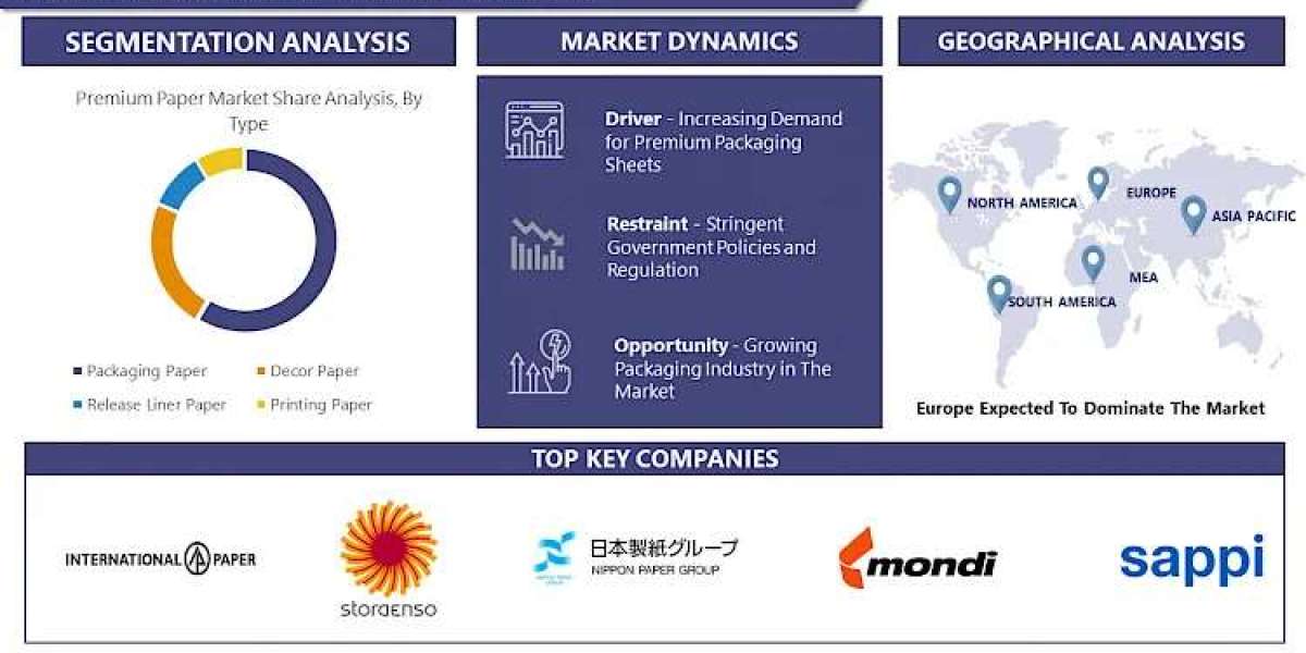 Premium Paper Market Navigating the Market Landscape: Size, Growth, and Share