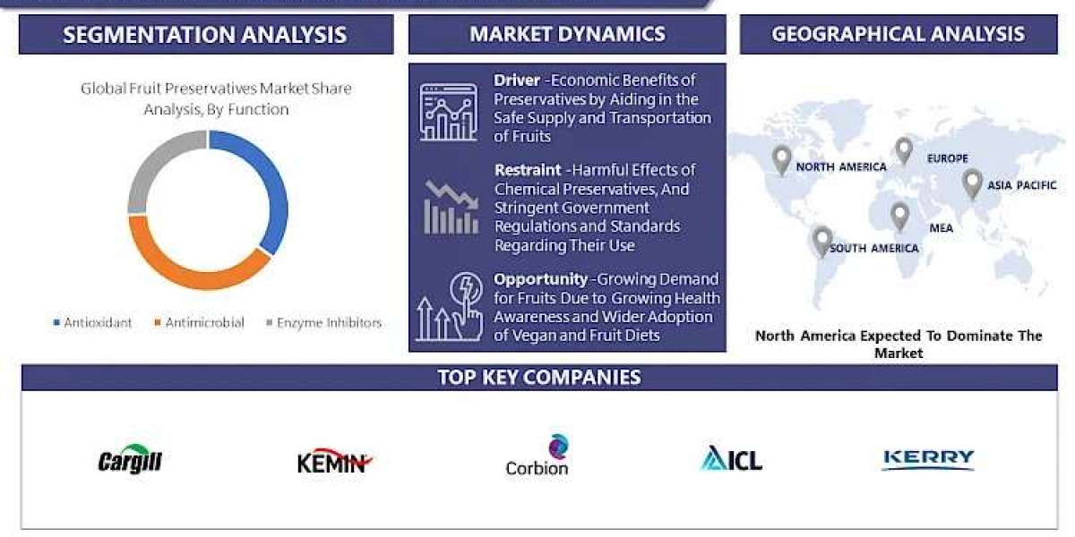 Fruit Preservatives Market Report: Tracking 2030 Trends and Growth Status