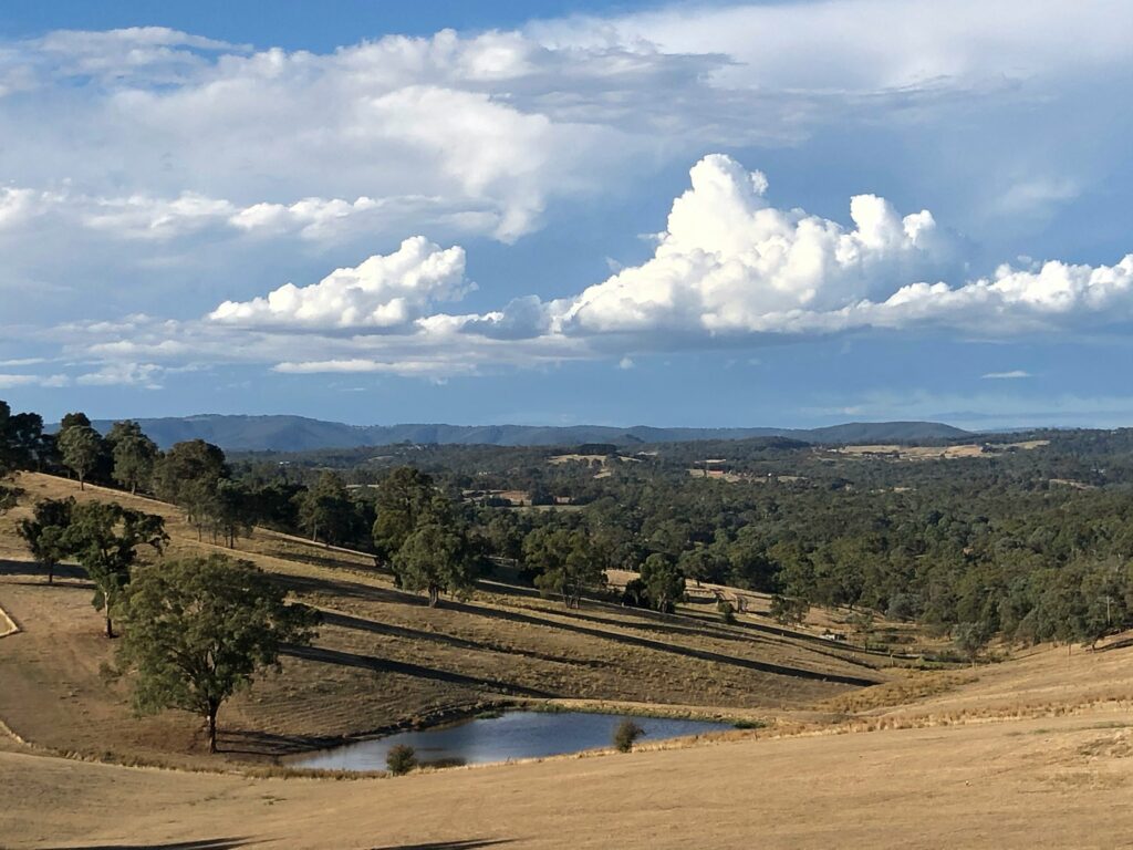 Exploring the Scenic Delights of The Yarra Valley