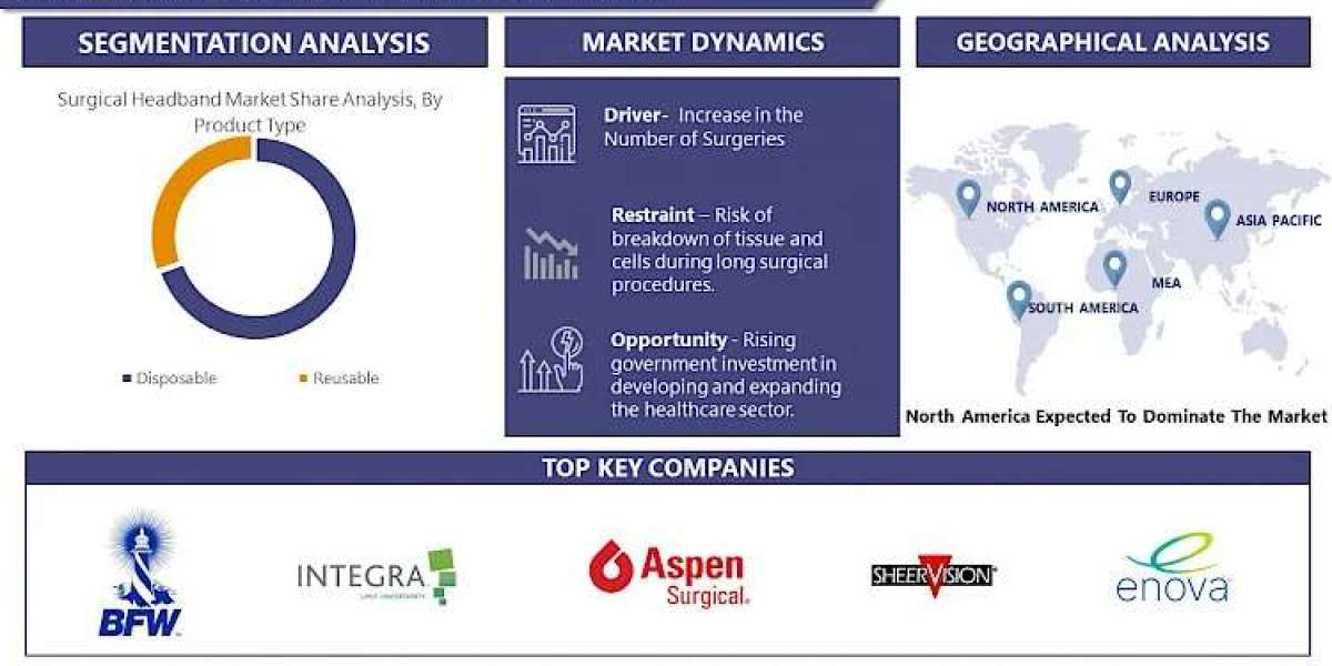 Surgical Headband Market Report: Tracking 2030 Trends and Growth Status