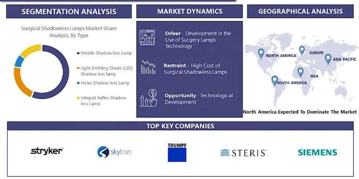 Surgical Shadowless Lamps Market 2030 Overview: Size, Share, and Growth