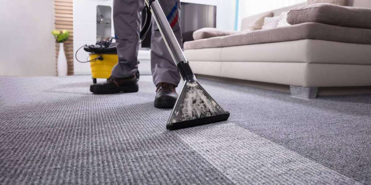 Transforming Air Quality with Professional Carpet Cleaning Services