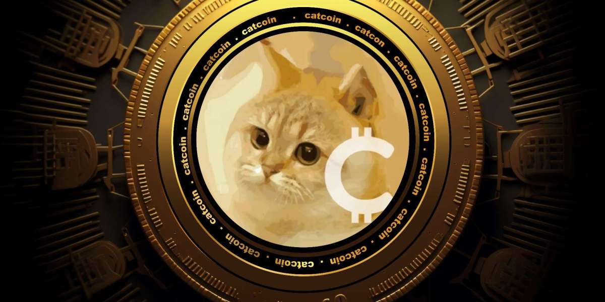 Ensuring CatCoin Security:Key Strategies To Store Catcoin Safely