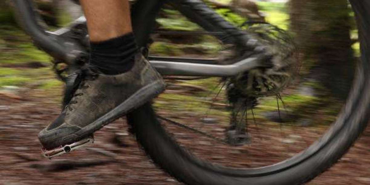 US Mountain Bike Footwear and Socks Market Service-Types, Development, Share, User-Demand, Industry Size 2030