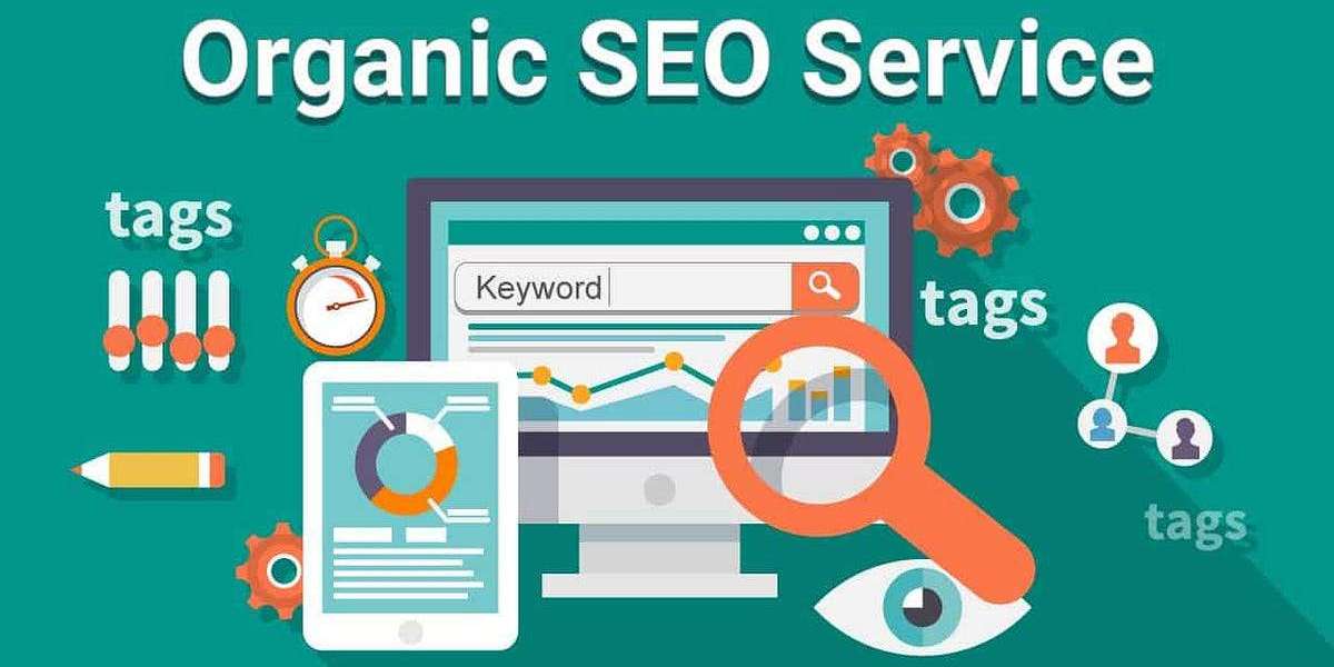 Top Organic SEO Service Providers: How to Find the Best Fit for You