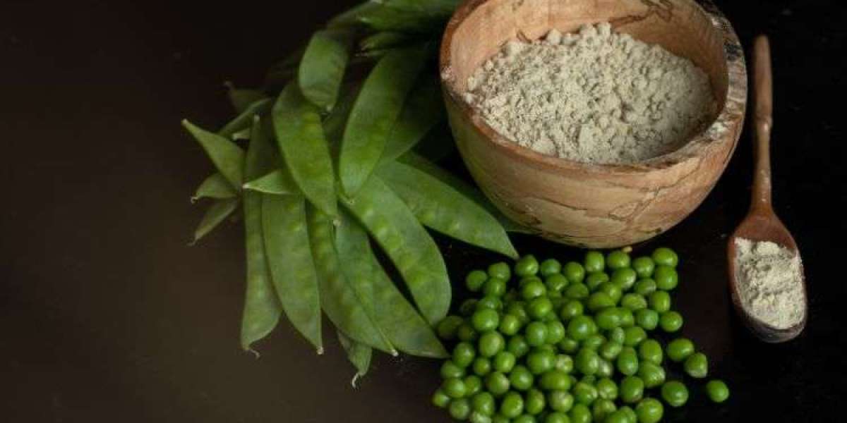 Pea Protein Market size, Share, Growth Trend | 2032
