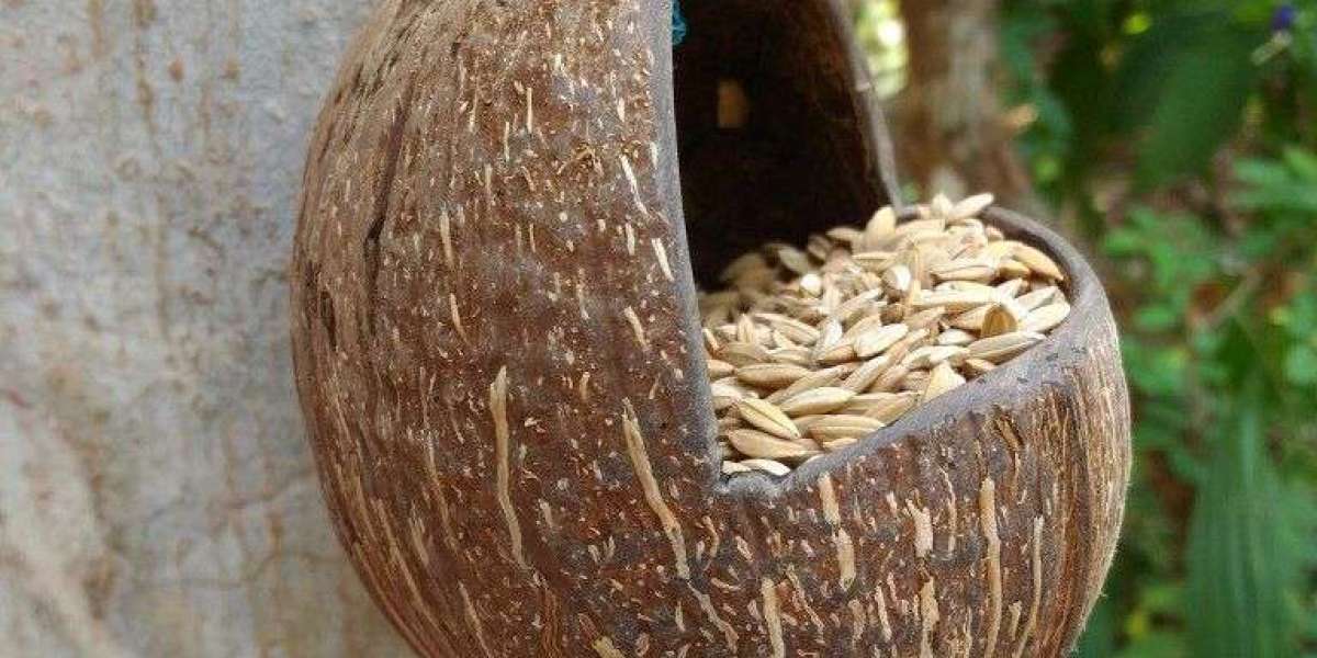 Coconut shells wholesale in Tuticorin | Omni Products Export Company