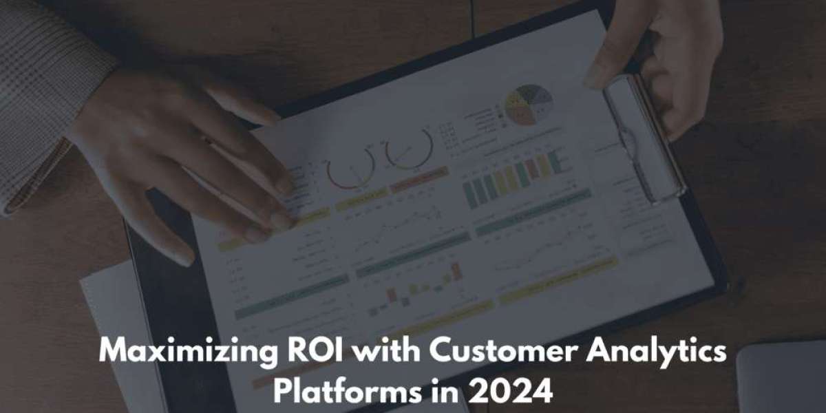 Maximizing ROI with Customer Analytics Platforms in 2024