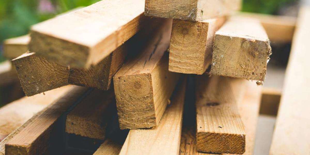 Challenges and Solutions in the Wood Bio-Products Market