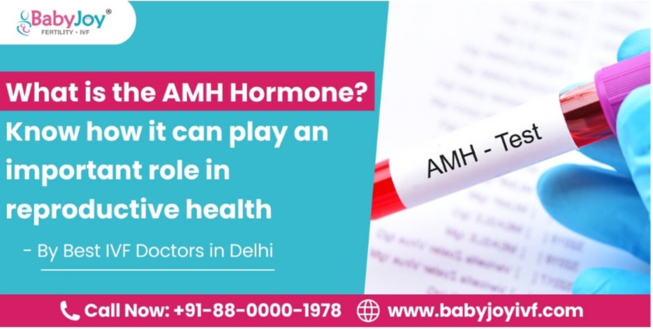 What Is The AMH Hormone? Know How It Can Play An Important Role In Reproductive Health - Muchata