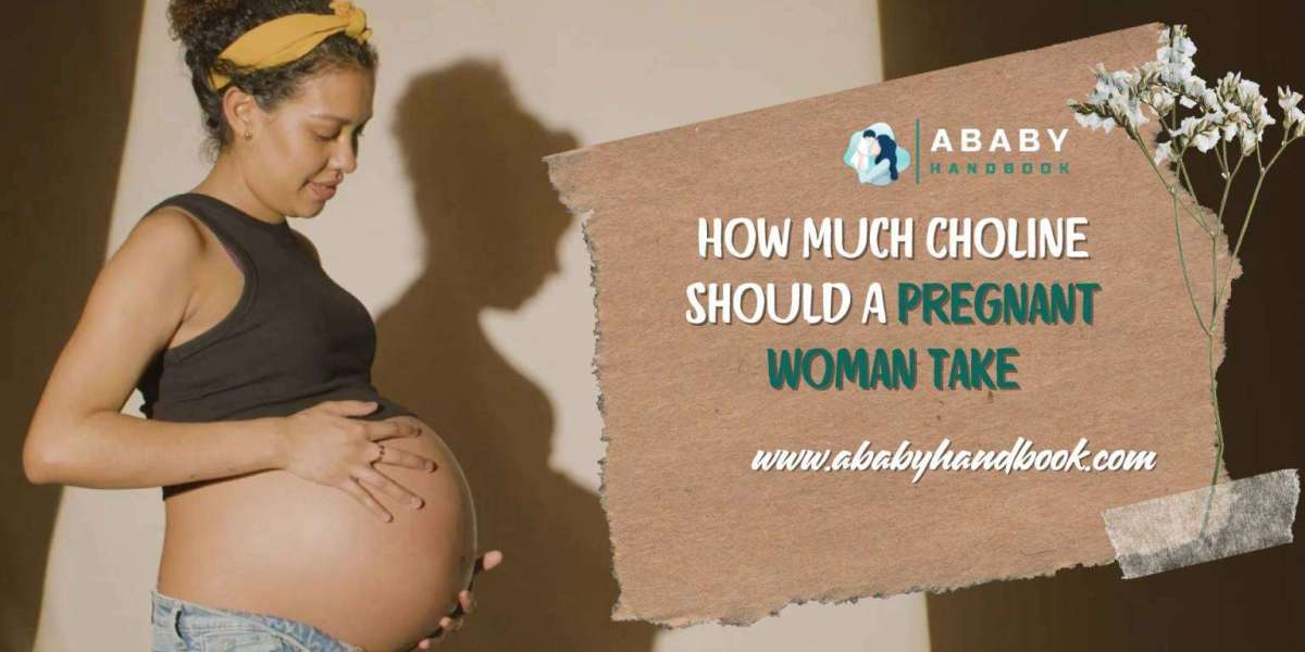 How Much Choline Should A Pregnant Woman Take?