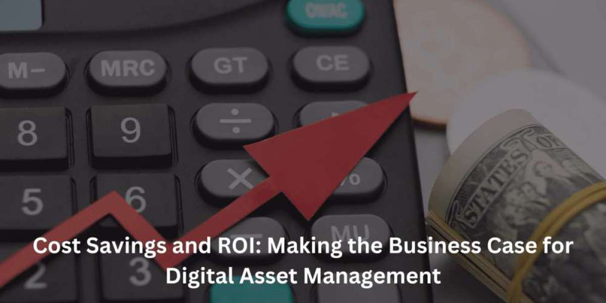 Cost Savings and ROI: Making the Business Case for Digital Asset Management