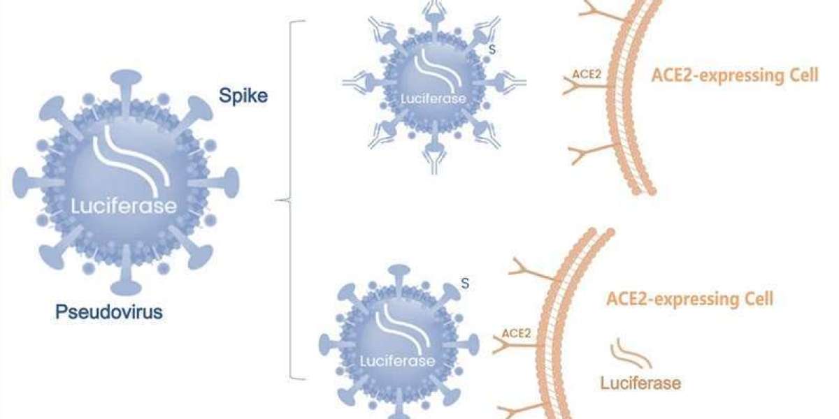 Single Cell Omics Solutions for SARS-CoV-2