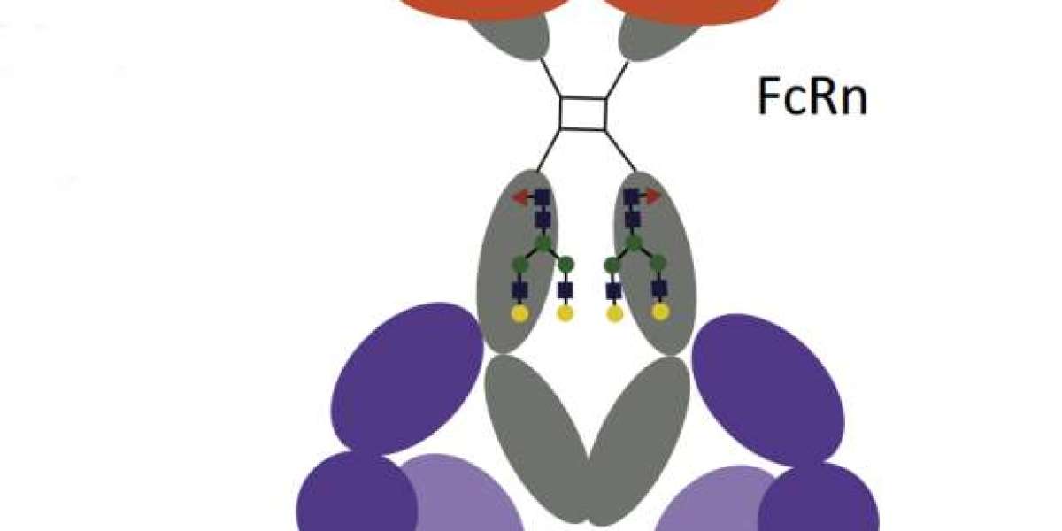 Canine NT-proBNP Matched Antibody