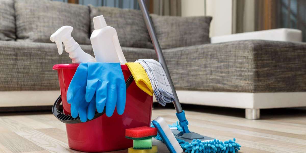 Discover Orellana’s Premier Cleaning Service in Minneapolis