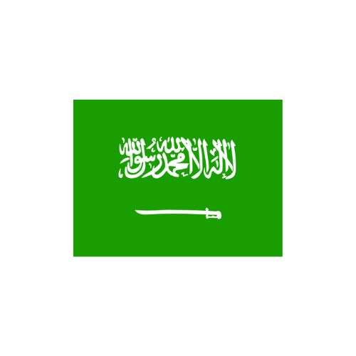 Saudi Visaorg Profile Picture