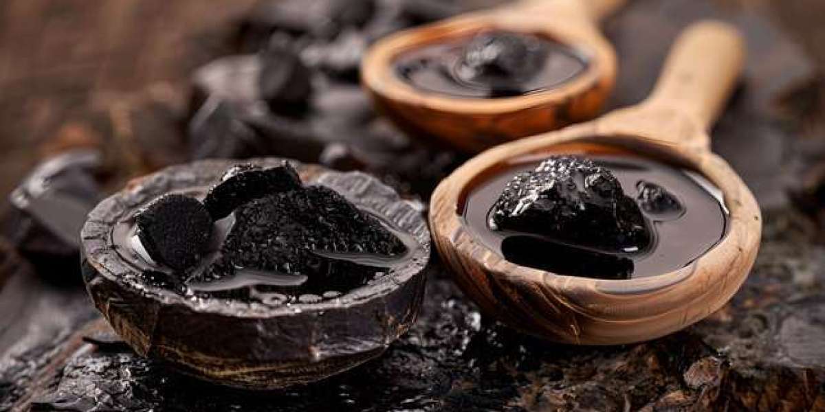 Experience the Benefits of Pure Himalayan Shilajit for a Healthier Life