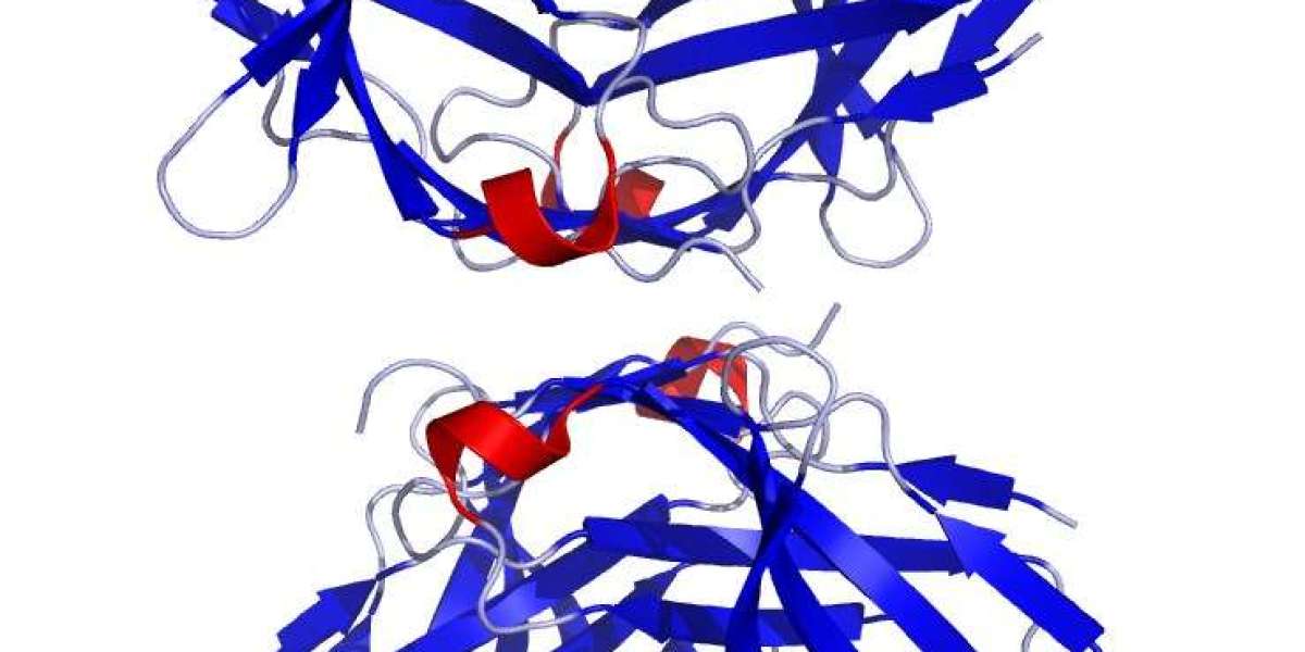 Complement-dependent Cytotoxicity (CDC) Assay