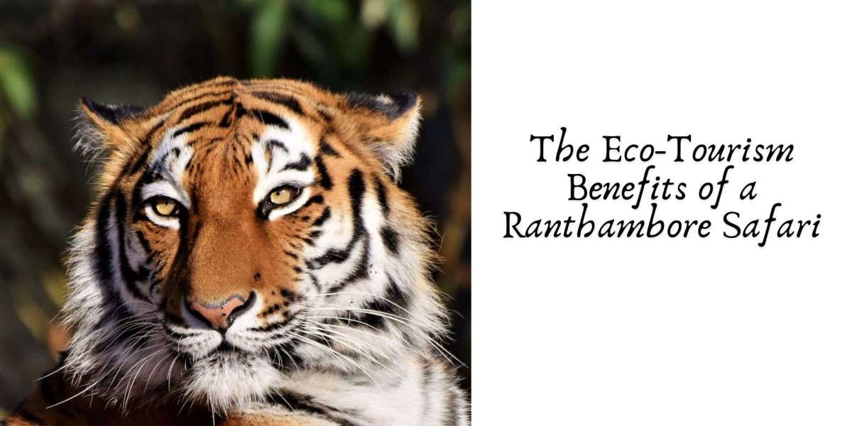 The Eco-Tourism Benefits of a Ranthambore Safari