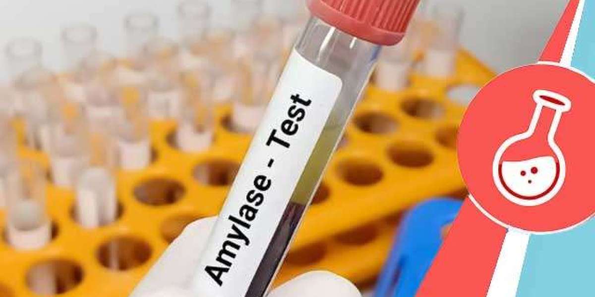 Amylase Testing Market Key Players, Latest Trades & Forecast Report to 2032