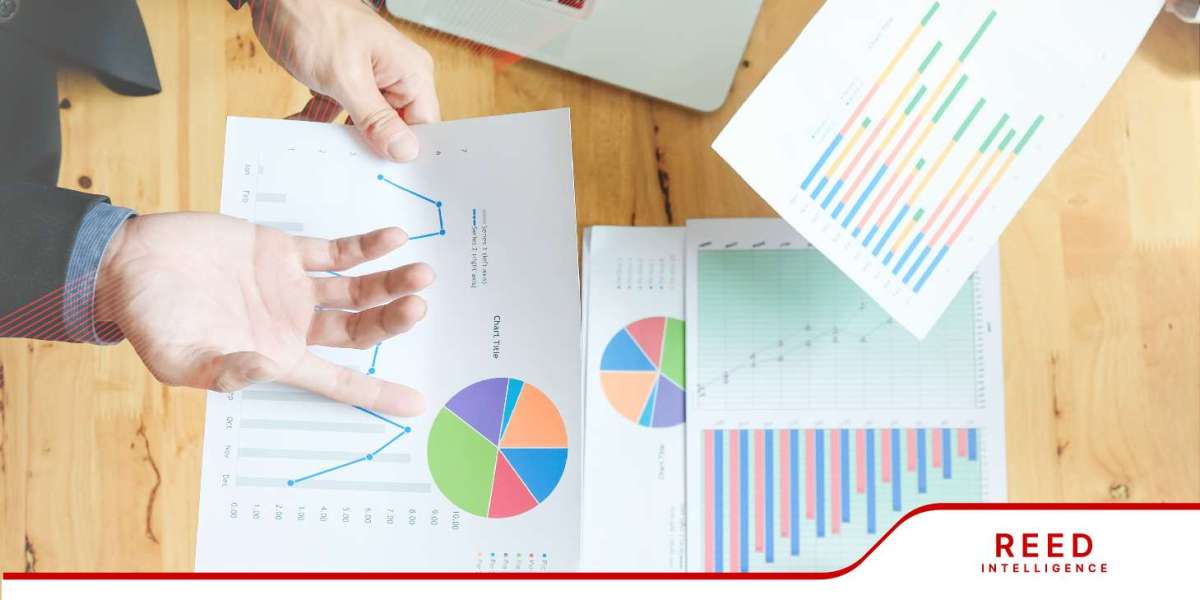 Global Big Packaging Milk Powder Market Growth, Insights and Forecast by 2032 | Reed Intelligence