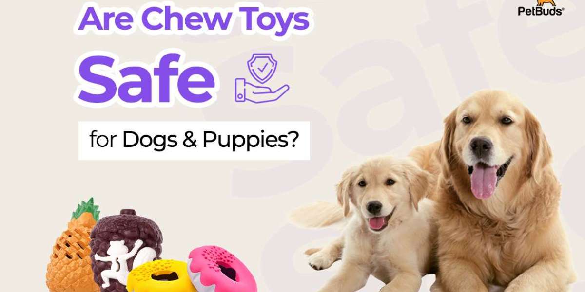 What They Don’t Tell You About Dog Chew Toys: Safety First!