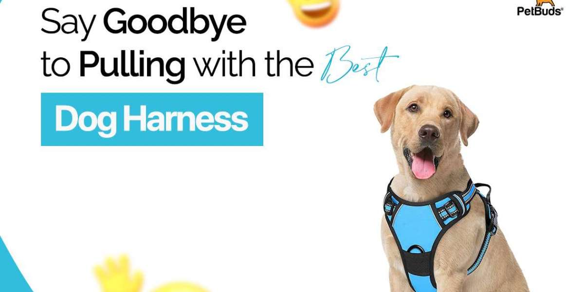 Say Goodbye to Pulling with the Best Dog Harness