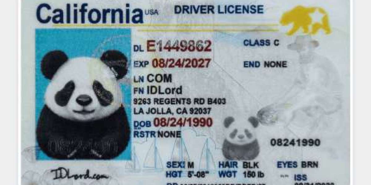 Elevate Your ID Game: Buy the Best Fake IDs Georgia from IDLORD