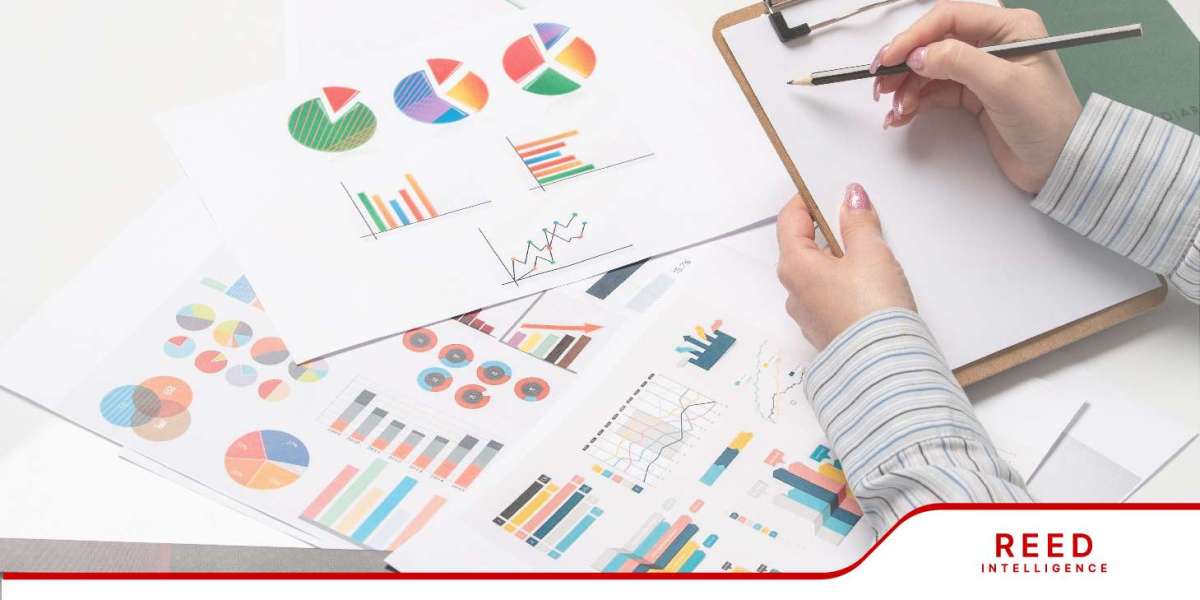 Magnetic Tape Measure Market Size, Share and Trends by Forecast 2024-2032 | Reed Intelligence