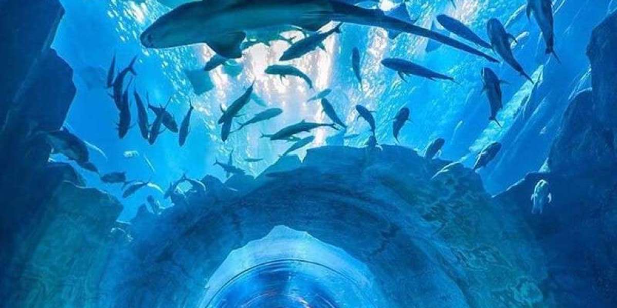 Exploring the Wonders of Dubai Aquarium & Underwater Zoo