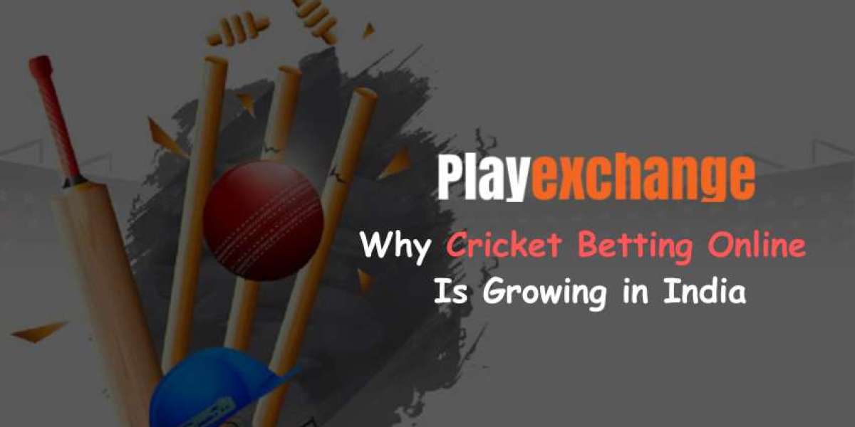 The Popularity of Online Cricket Betting in India: A Deep Dive