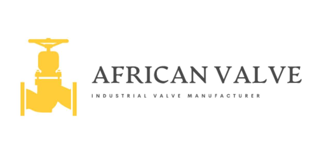 Dual Plate Check Valve Supplier in Angola