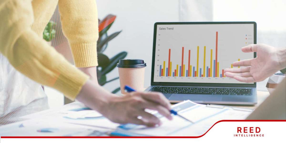 Magnesite Clinkers Market Size, Share and Trends by Forecast 2024-2032 | Reed Intelligence