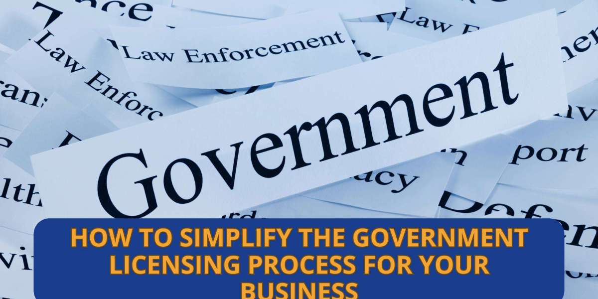 How to Simplify the Government Licensing Process for Your Business