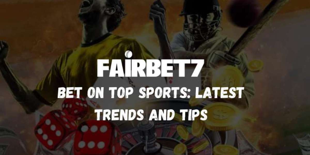 Top Sports to Bet on This Year: Trends and Tips