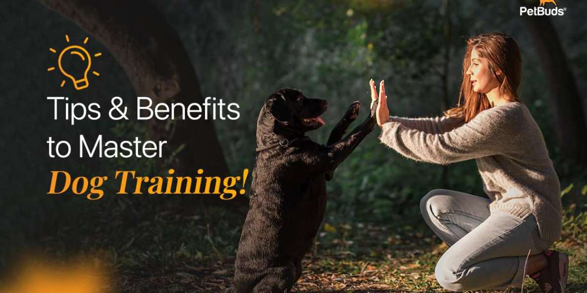 Unlock the Secrets to Master Dog Training: Tips & Benefits